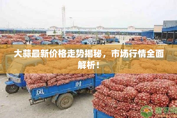 大蒜最新价格走势揭秘,市场行情全面解析!
