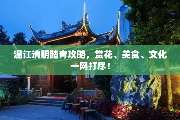 小鸟伊人 第2页