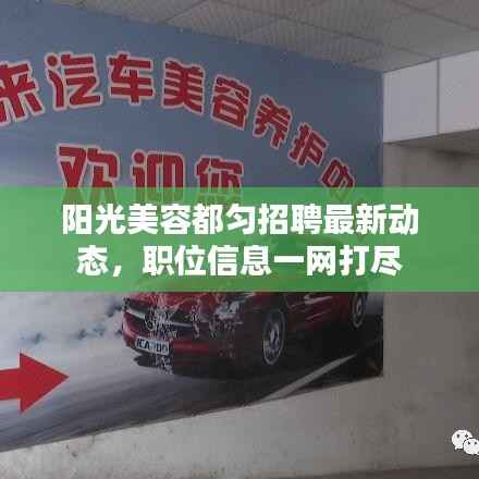 阳光美容都匀招聘最新动态,职位信息一网打尽