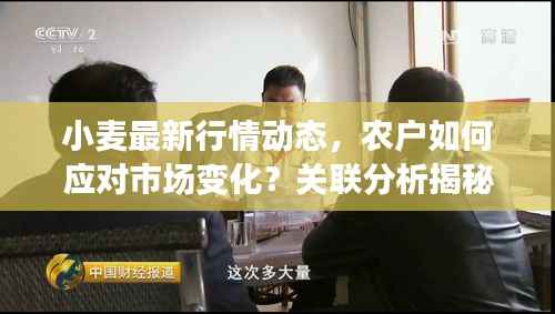 程门飞雪 第2页