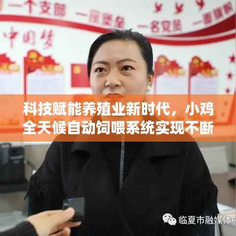 科技赋能养殖业新时代,小鸡全天候自动饲喂系统实现不断料喂养