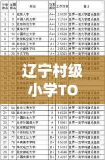 辽宁村级小学TOP10榜单揭晓,优质教育资源一览