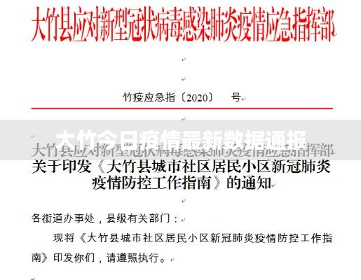 大竹今日疫情最新数据通报