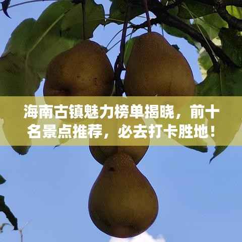 海南古镇魅力榜单揭晓,前十名景点推荐,必去打卡胜地!