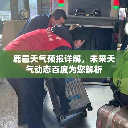 飞潜动植 第2页