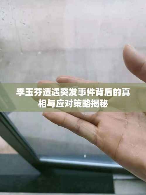 李玉芬遭遇突发事件背后的真相与应对策略揭秘
