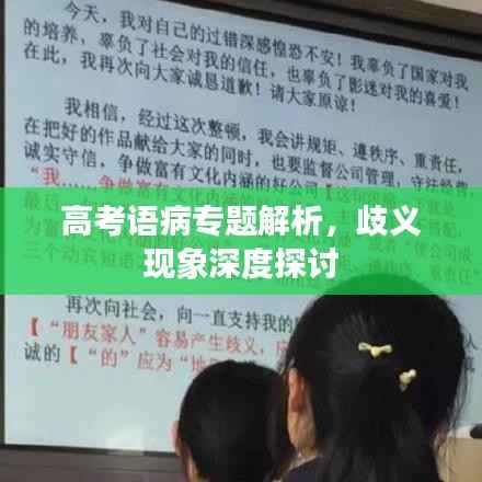 高考语病专题解析,歧义现象深度探讨