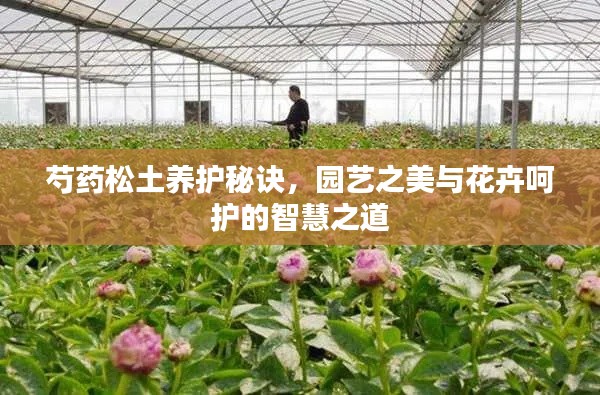 营销网络 第104页