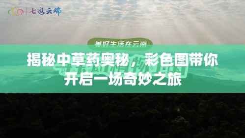 揭秘中草药奥秘,彩色图带你开启一场奇妙之旅