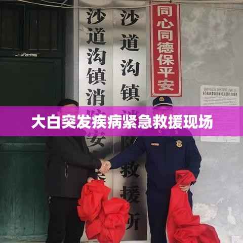 大白突发疾病紧急救援现场