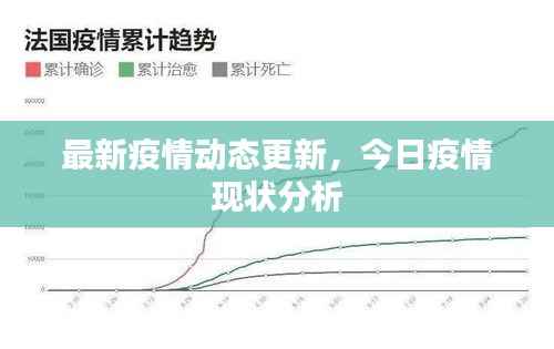 最新疫情动态更新,今日疫情现状分析