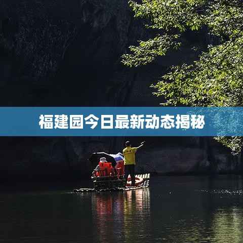 福建园今日最新动态揭秘