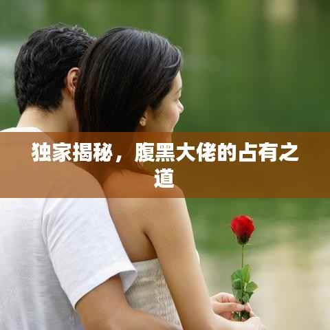 独家揭秘,腹黑大佬的占有之道