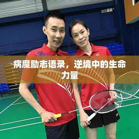 马马虎虎 第2页