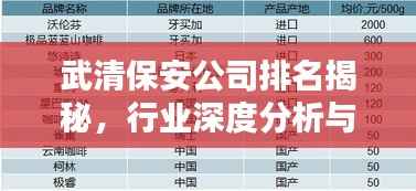 武清保安公司排名揭秘,行业深度分析与评估