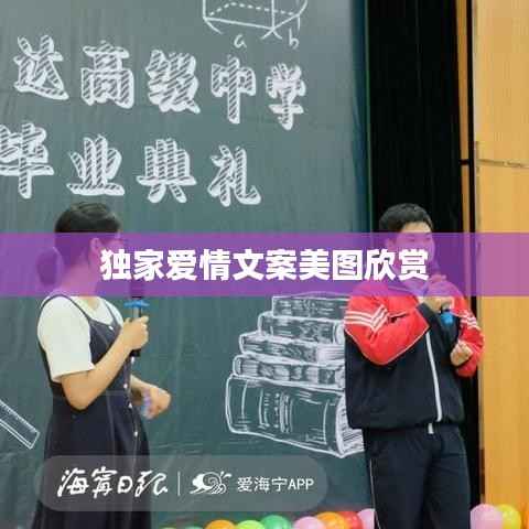 独家爱情文案美图欣赏