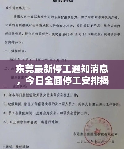 东莞最新停工通知消息，今日全面停工安排揭秘