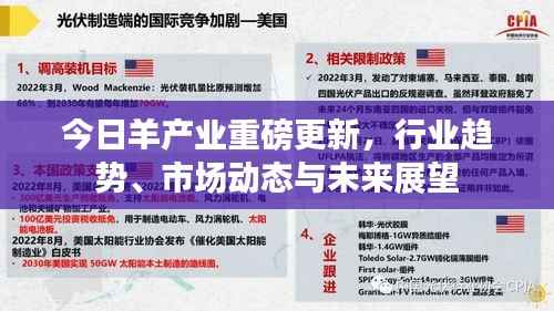 今日羊产业重磅更新,行业趋势、市场动态与未来展望