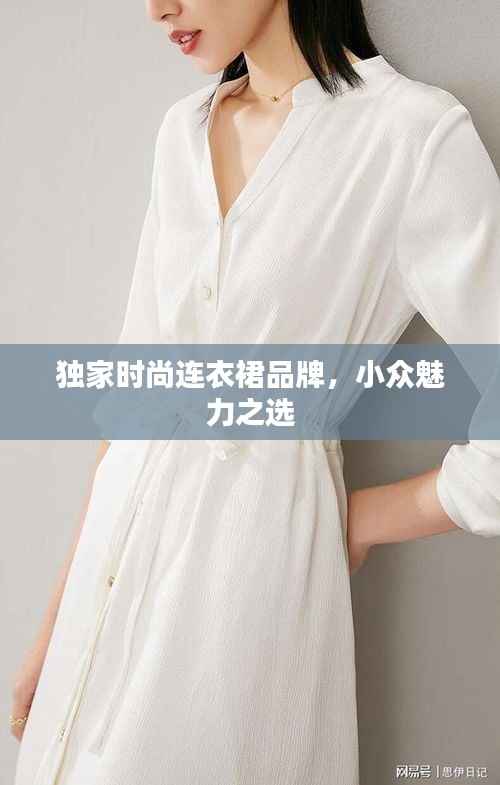 独家时尚连衣裙品牌，小众魅力之选