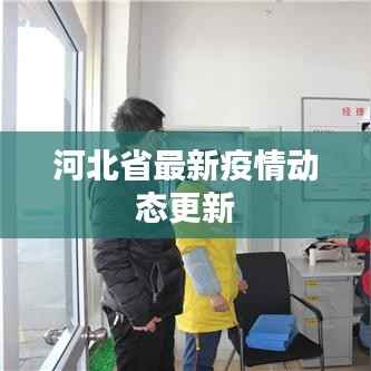 河北省最新疫情动态更新