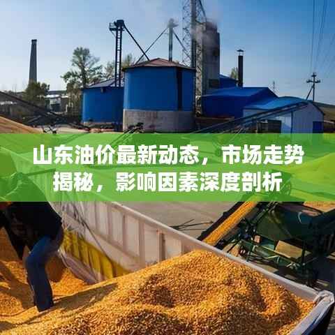 山东油价最新动态，市场走势揭秘，影响因素深度剖析