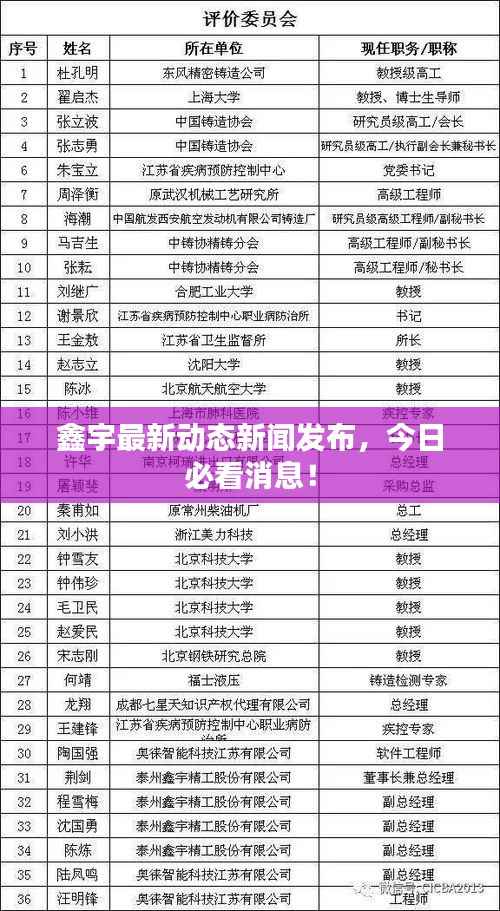 鑫宇最新动态新闻发布，今日必看消息！