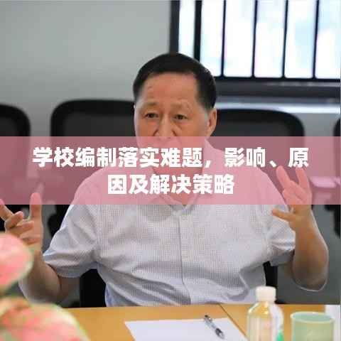 学校编制落实难题,影响、原因及解决策略