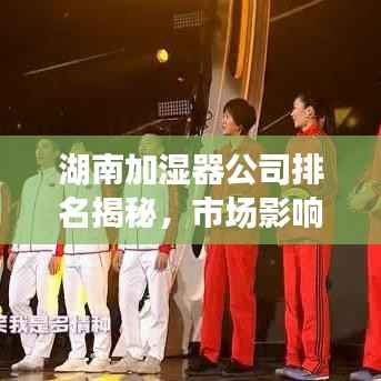 湖南加湿器公司排名揭秘,市场影响力与市场份额一览