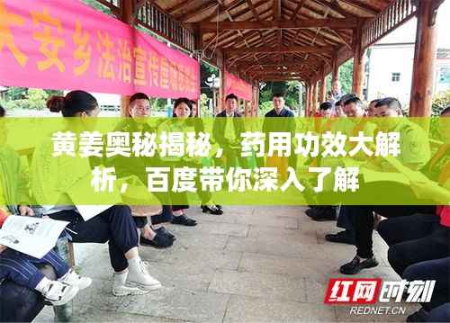 富贵逼人来 第2页