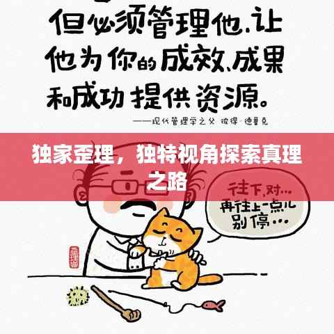 独家歪理,独特视角探索真理之路