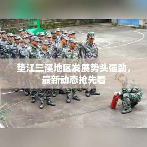 新闻中心 第77页