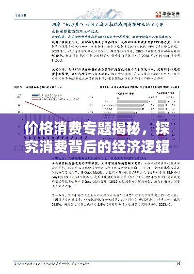 价格消费专题揭秘,探究消费背后的经济逻辑深度解析