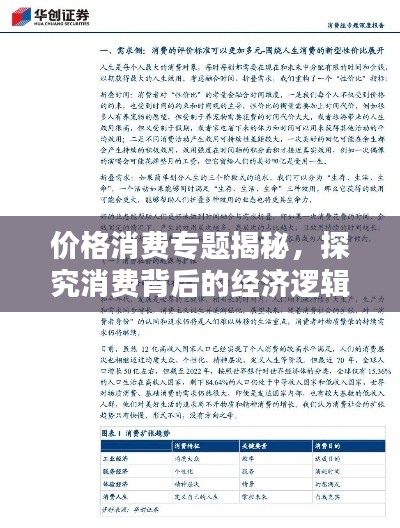 价格消费专题揭秘,探究消费背后的经济逻辑深度解析