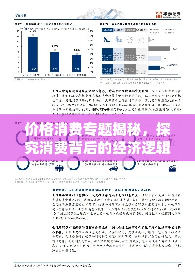 价格消费专题揭秘,探究消费背后的经济逻辑深度解析