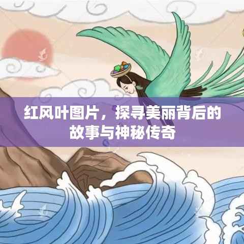 红风叶图片,探寻美丽背后的故事与神秘传奇