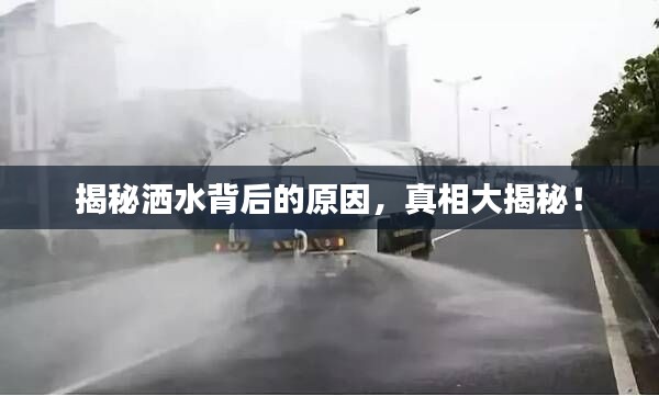 揭秘洒水背后的原因，真相大揭秘！