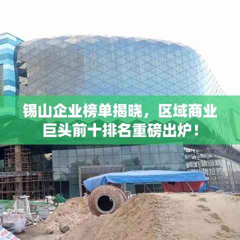 锡山企业榜单揭晓,区域商业巨头前十排名重磅出炉!
