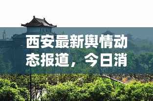 西安最新舆情动态报道,今日消息一网打尽!