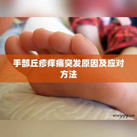手部丘疹痒痛突发原因及应对方法