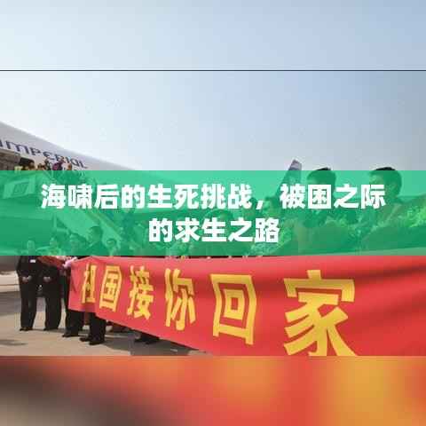 海啸后的生死挑战,被困之际的求生之路