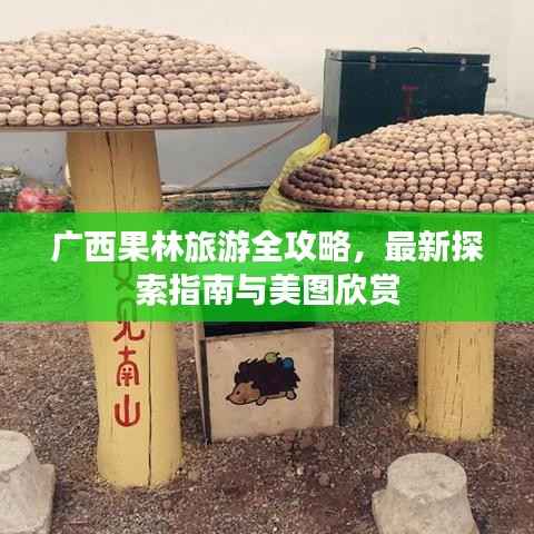 广西果林旅游全攻略,最新探索指南与美图欣赏